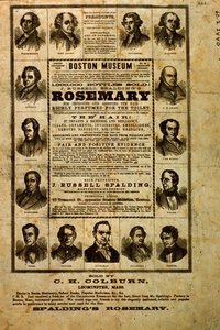 Pubblicità per Spaldings Rosemary da American School